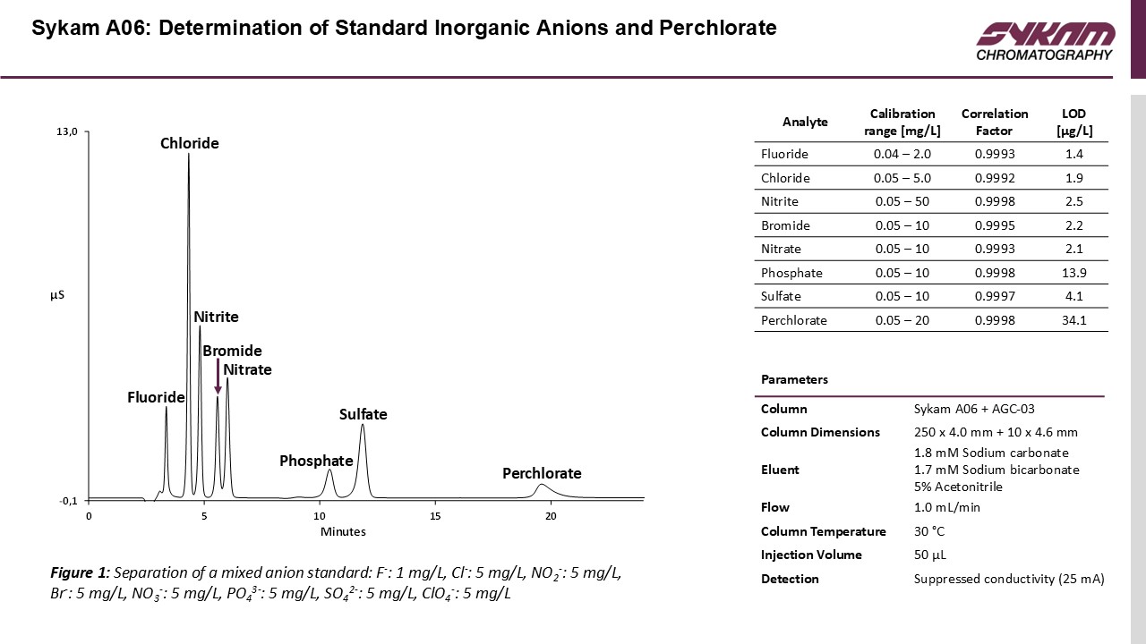 Sykam A06 Chromatogram – Perchlorate 분석
