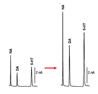 SenCell Sensitivity